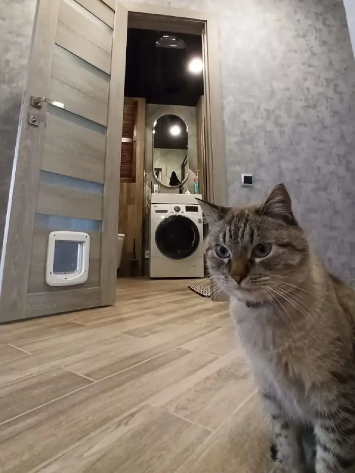 Дверь межкомнатная в интерьере Т5