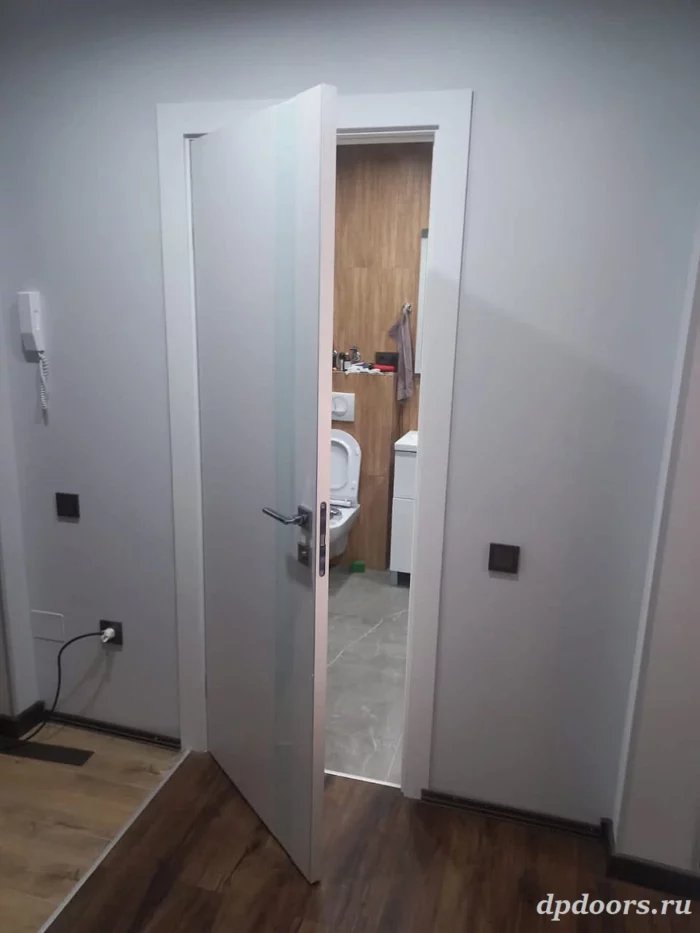 dver-v-kvartiru-platinum-p5