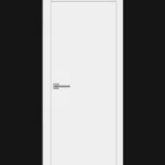 Дверь Carda R1 черная кромка