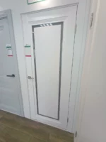 Дверь Карда К32 Софт