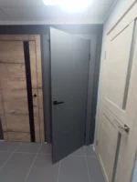 Дверь Royal R1 Графит