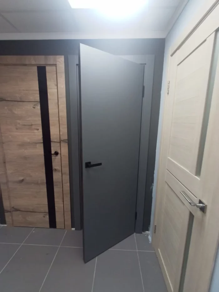 Дверь Royal R1 Графит