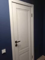 Дверь Сарко R11