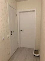 Двери межкомнатные Сарко К101