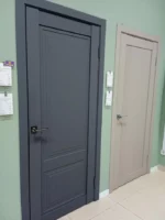 Дверь Сарко R11 Графит