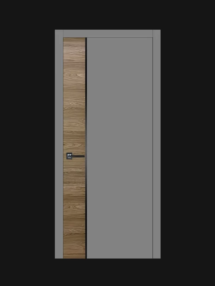 Дверь Карда RS1 Графит Софт