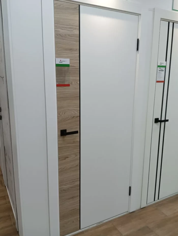 Дверь Карда RS1 вставка