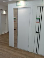 Дверь межкомнатная Карда RS1