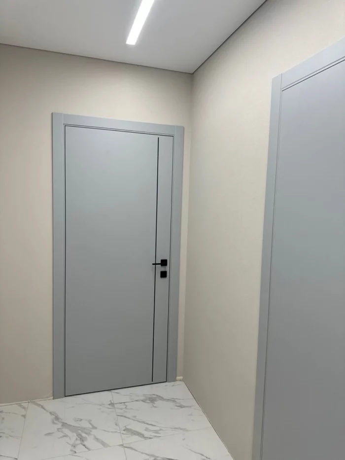 Дверь на скрытых петлях Х2 Дверь на скрытых петлях Х2