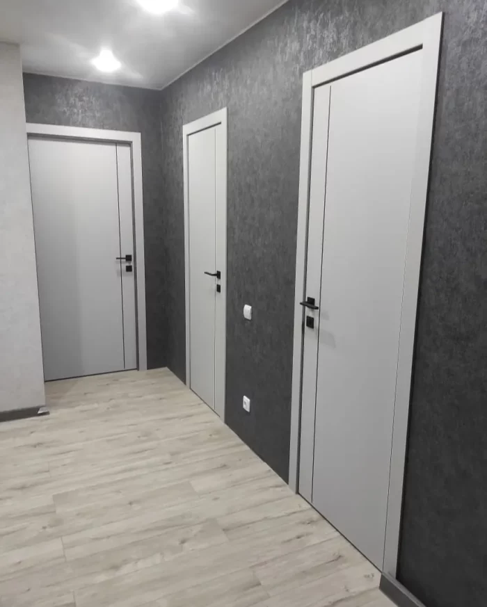 Дверь Хай Тек Х2