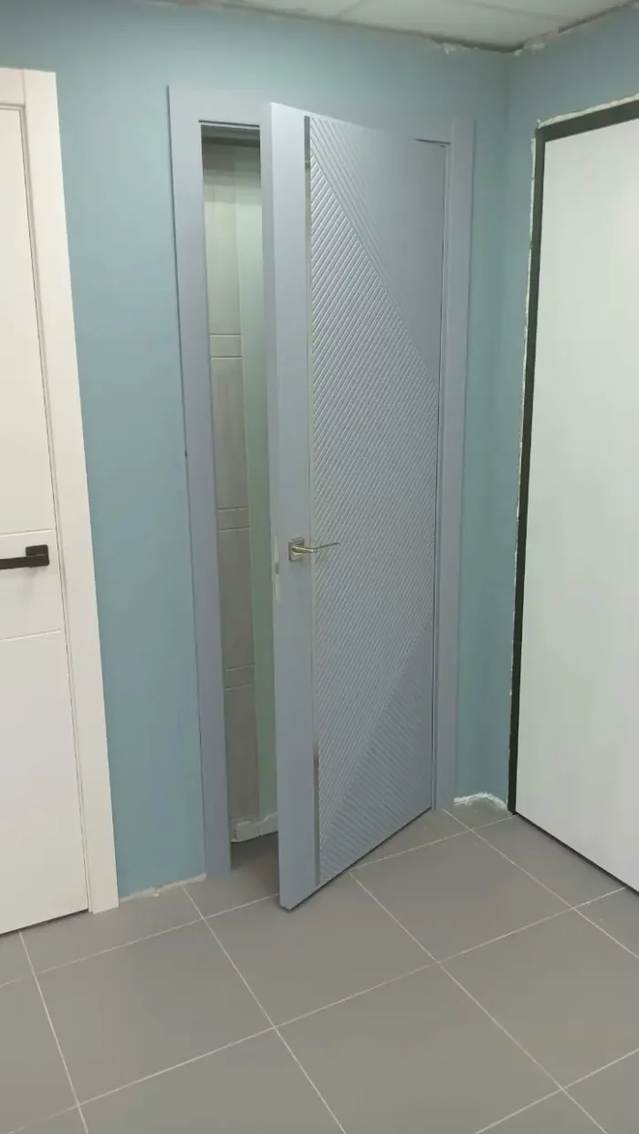 Дверь Vena V3 Афтора