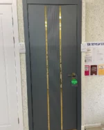 Дверь Vena V4 АФтора