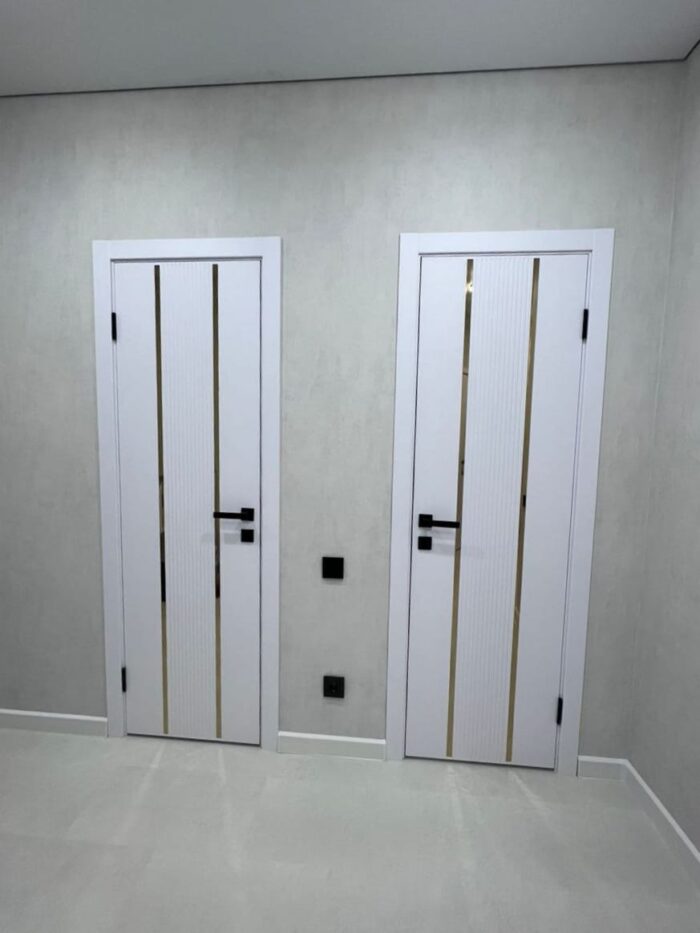 Дверь Vena V4 Афтора