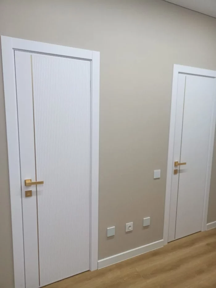 Межкомнатная дверь Vena Афтора