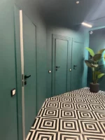 Скрытая дверь Карда матовая кромка