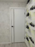 Дверь Хай-Тек Х6 Афтора