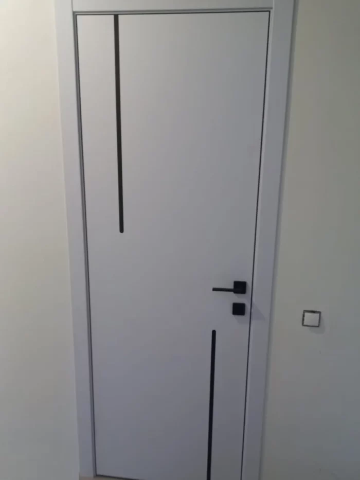 Дверь Line X5 ФСД в интерьере