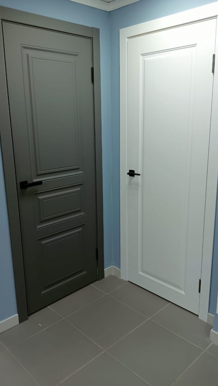 Межкомнатные двери Афтора Серые в интерьере (2)